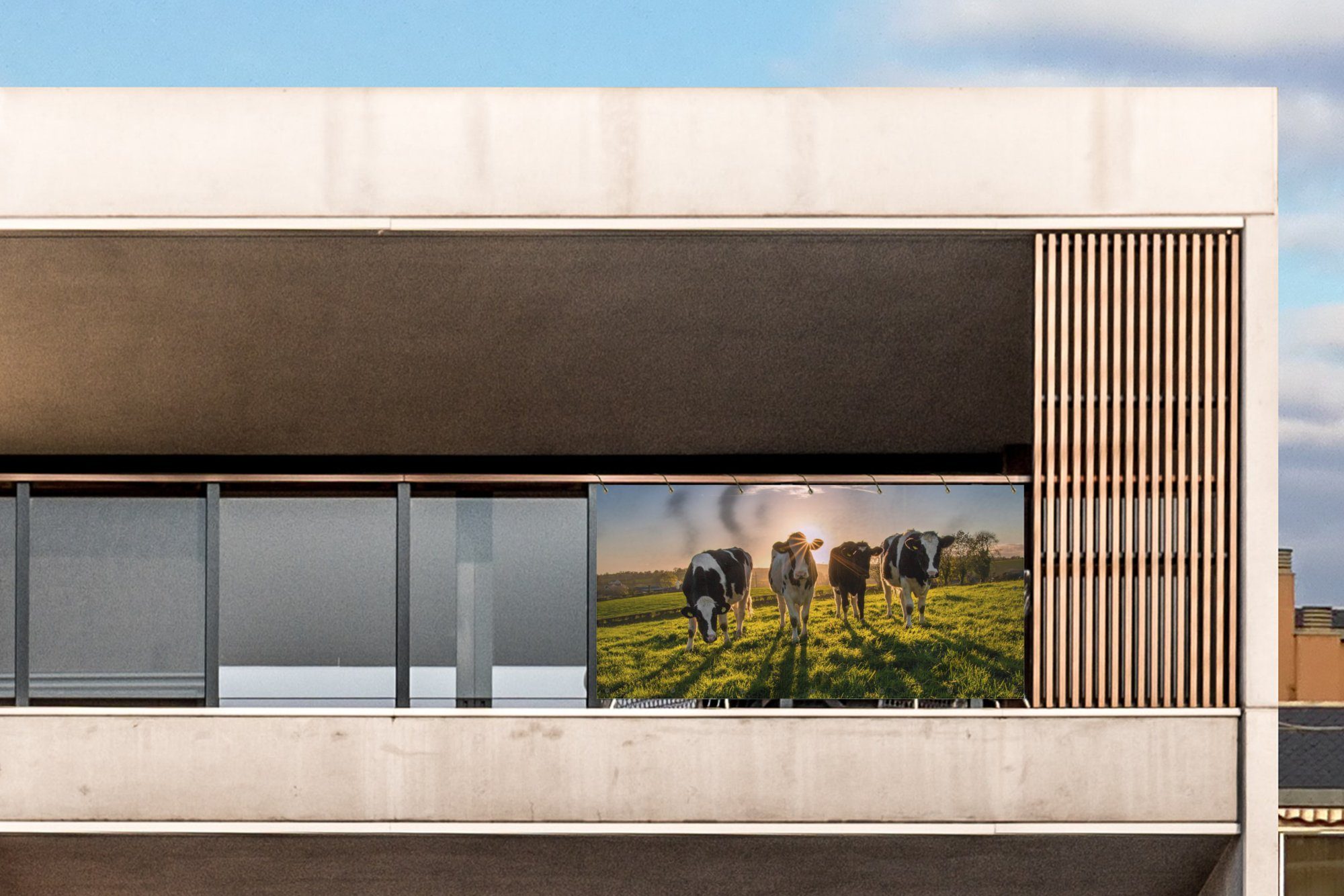 MuchoWow Balkonsichtschutz Kühe - Sonne - Gras - Tiere - Bauernhof (1-St) Balkonbanner, Sichtschutz für den Balkon, Robustes und wetterfest