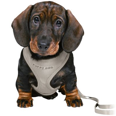 Trixie Junior Welpen-Softgeschirr mit Leine