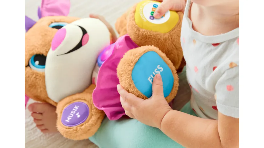 Fisher-Price Lernspaß Hundefreundin, Baby-Spielzeug, Kuscheltier, Lernspielzeug