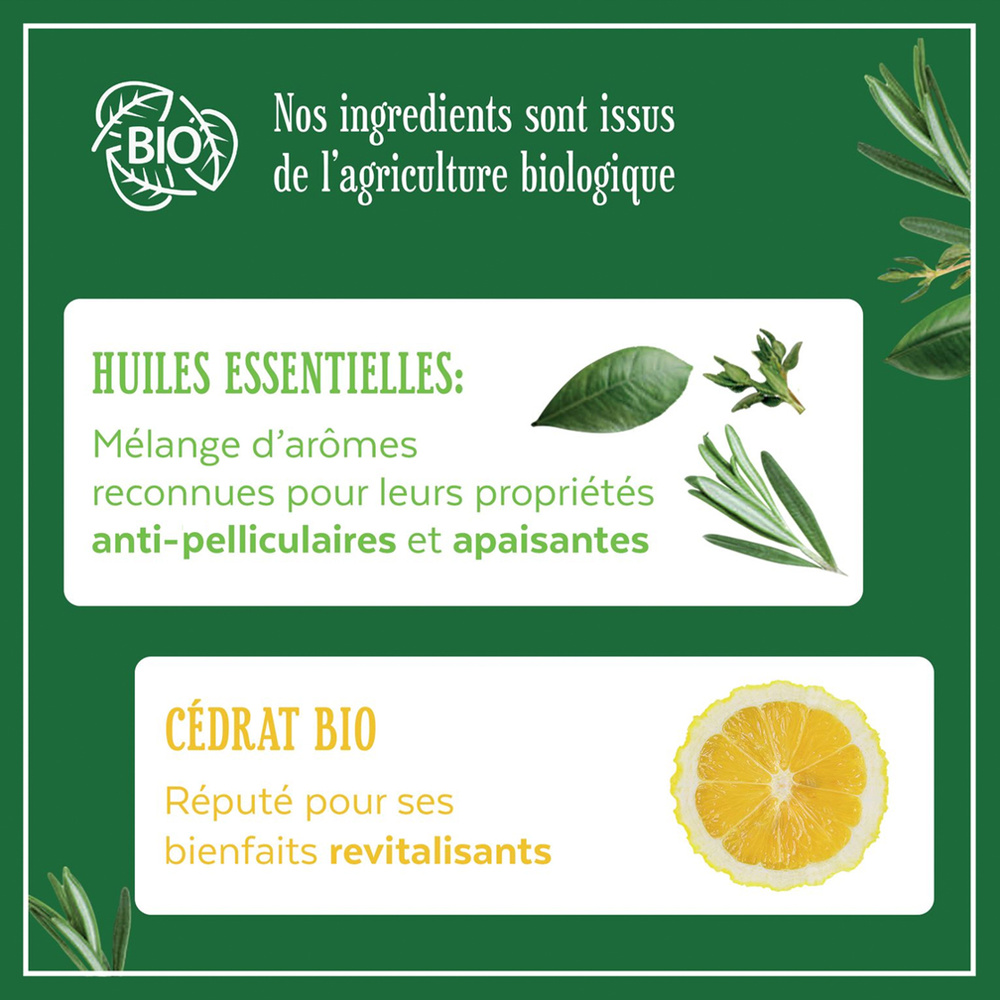 le petit marseillais Shampooing Anti-Pelliculaire Infusion Huiles Essentielles Et Cédrat Bio Shampoing