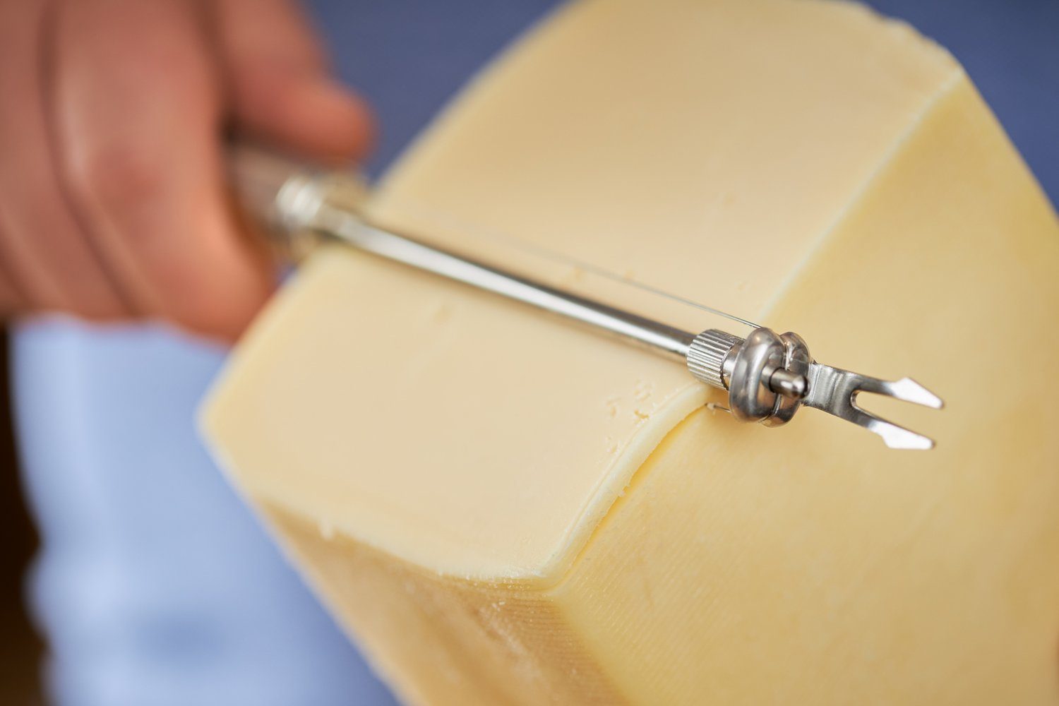 RÖSLE Käsemesser, Drahtschneider für Schnittkäse, Edelstahl 18/10