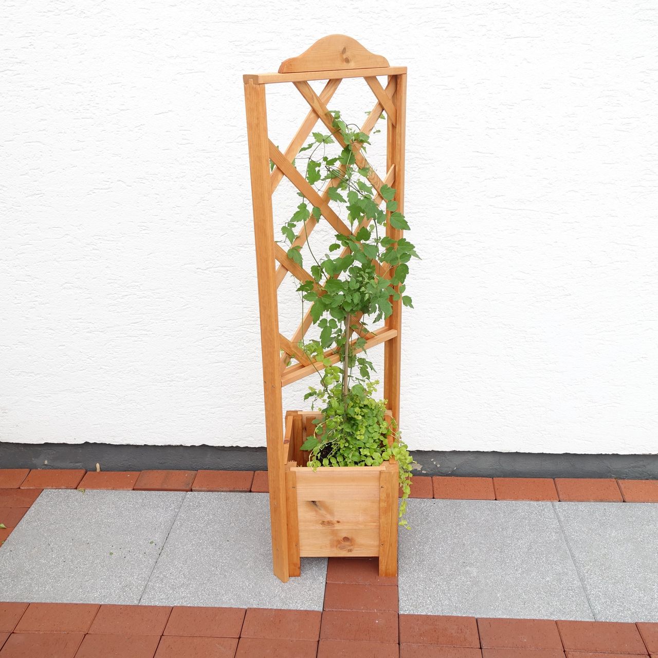 PROMEX Promadino Eckelement Botanica 140 cm