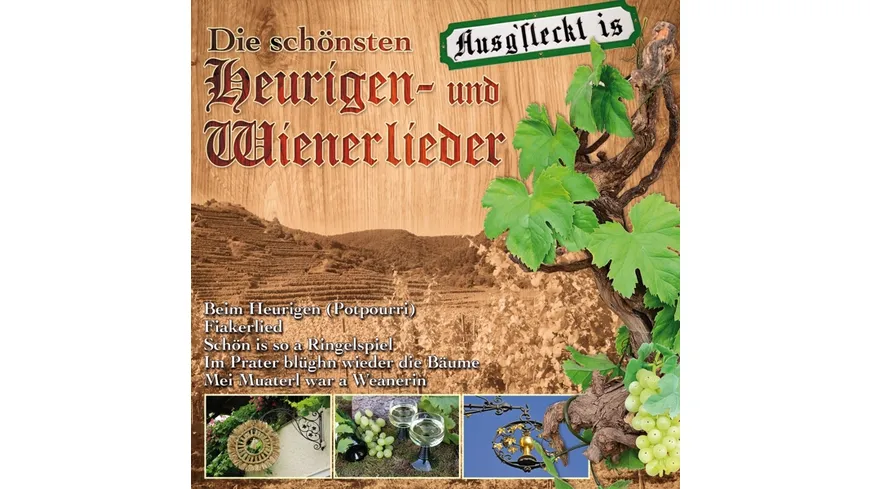 Die schönsten Heurigen-und Wi