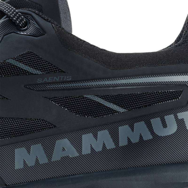 Mammut Saentis Low GTX Multifunktionsschuhe Herren