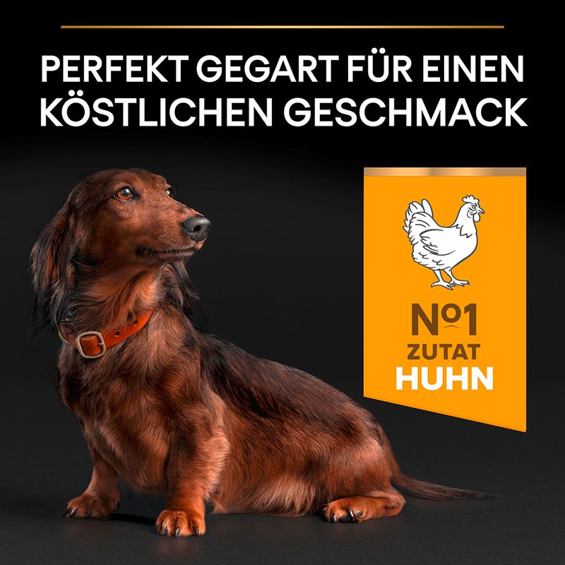 PURINA PRO PLAN Small & Mini Adult 9+ Age Defence