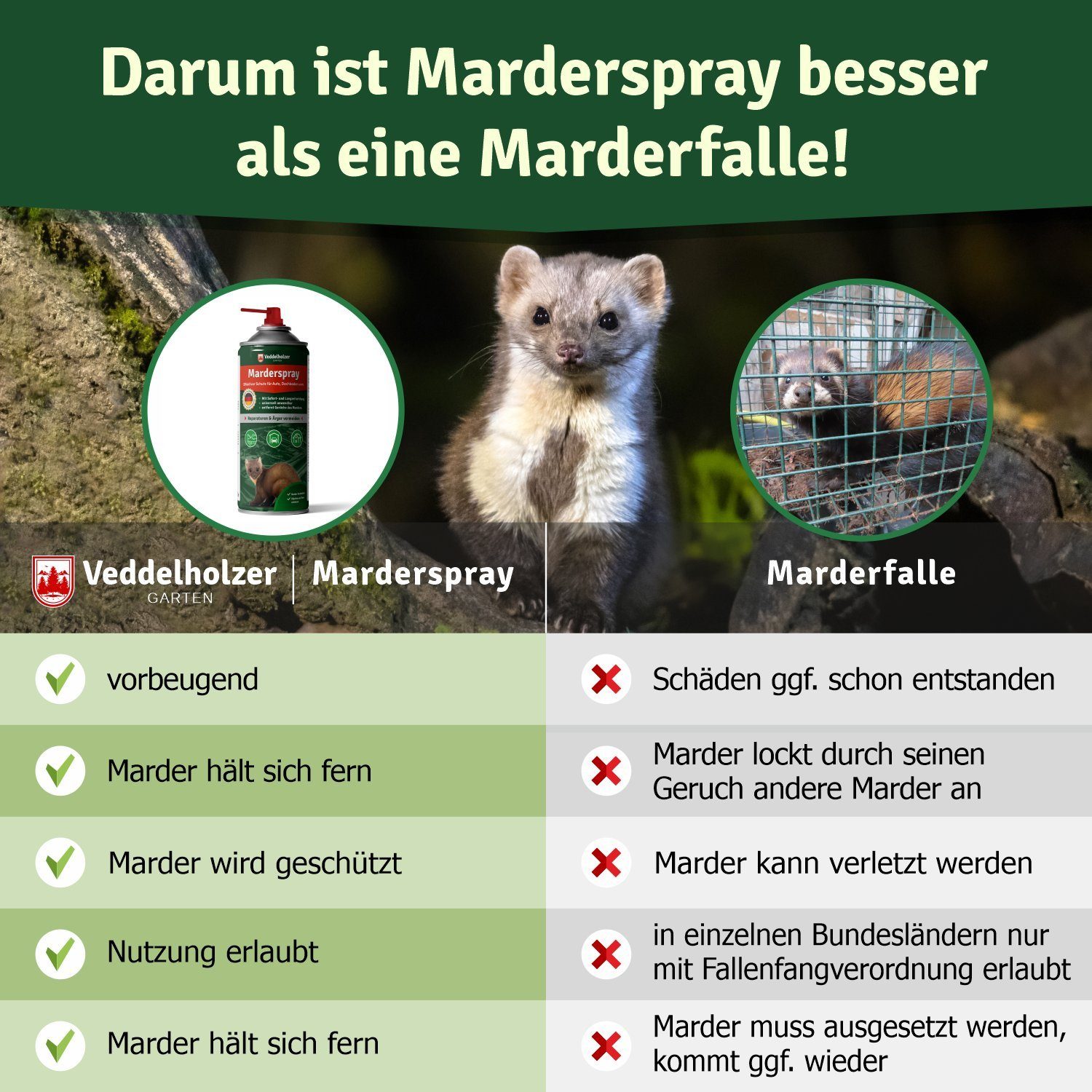 Veddelholzer Garten Marderspray Auto Dachboden & Garage 400 ml Sofortiger Langfristiger Schutz Marder, 400 ml, 400 ml
