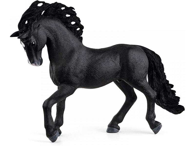 Etalon pure race espagnole