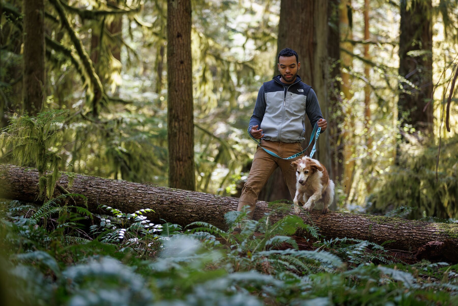 Ruffwear Hundeleinen Ruffwear Verstellbare Hundeleine Crag EX™ seegrün