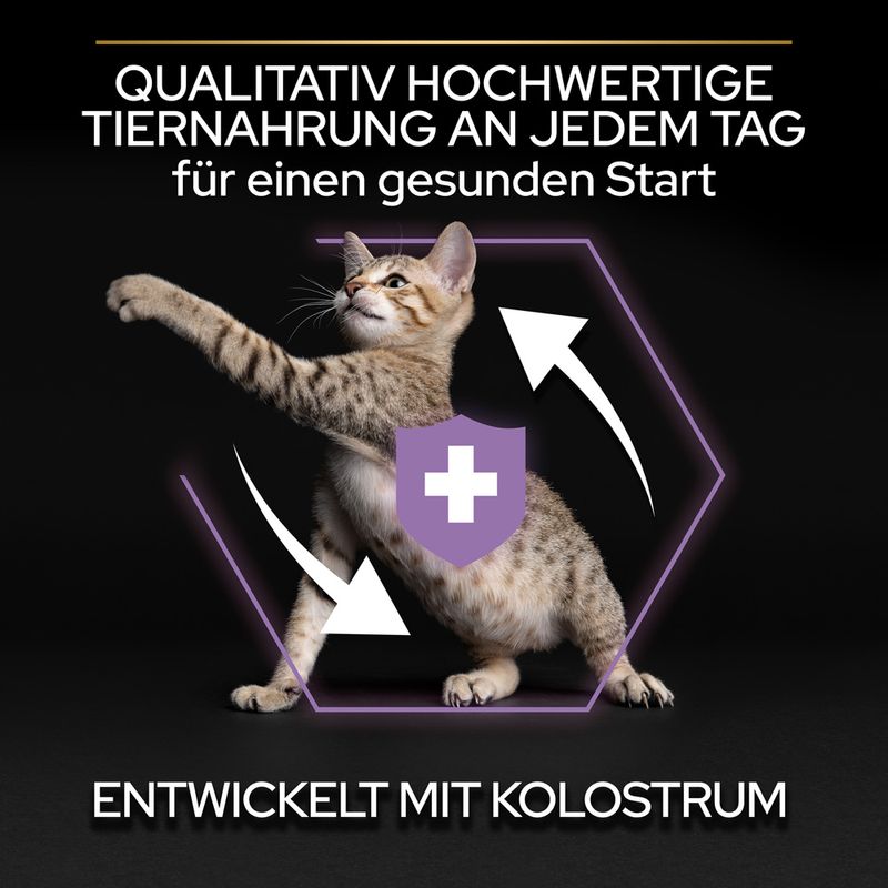 PURINA PRO PLAN Kitten Healthy Start reich an Huhn