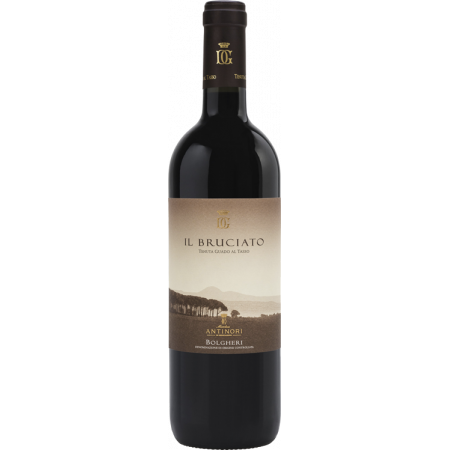 IL BRUCIATO 2021 - TENUTA GUADO AL TASSO - ANTINORI