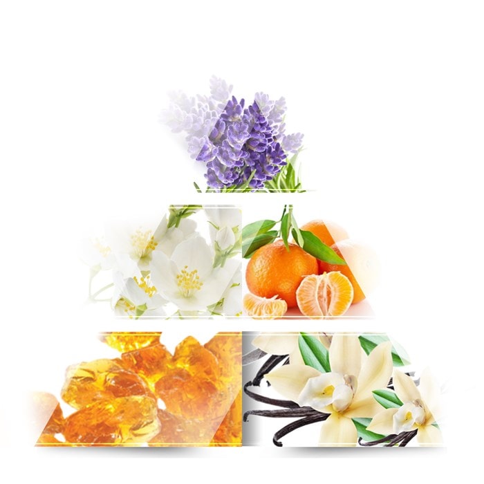Women's Collection Geschenkset Destinée von LA RIVE | parfumdreams