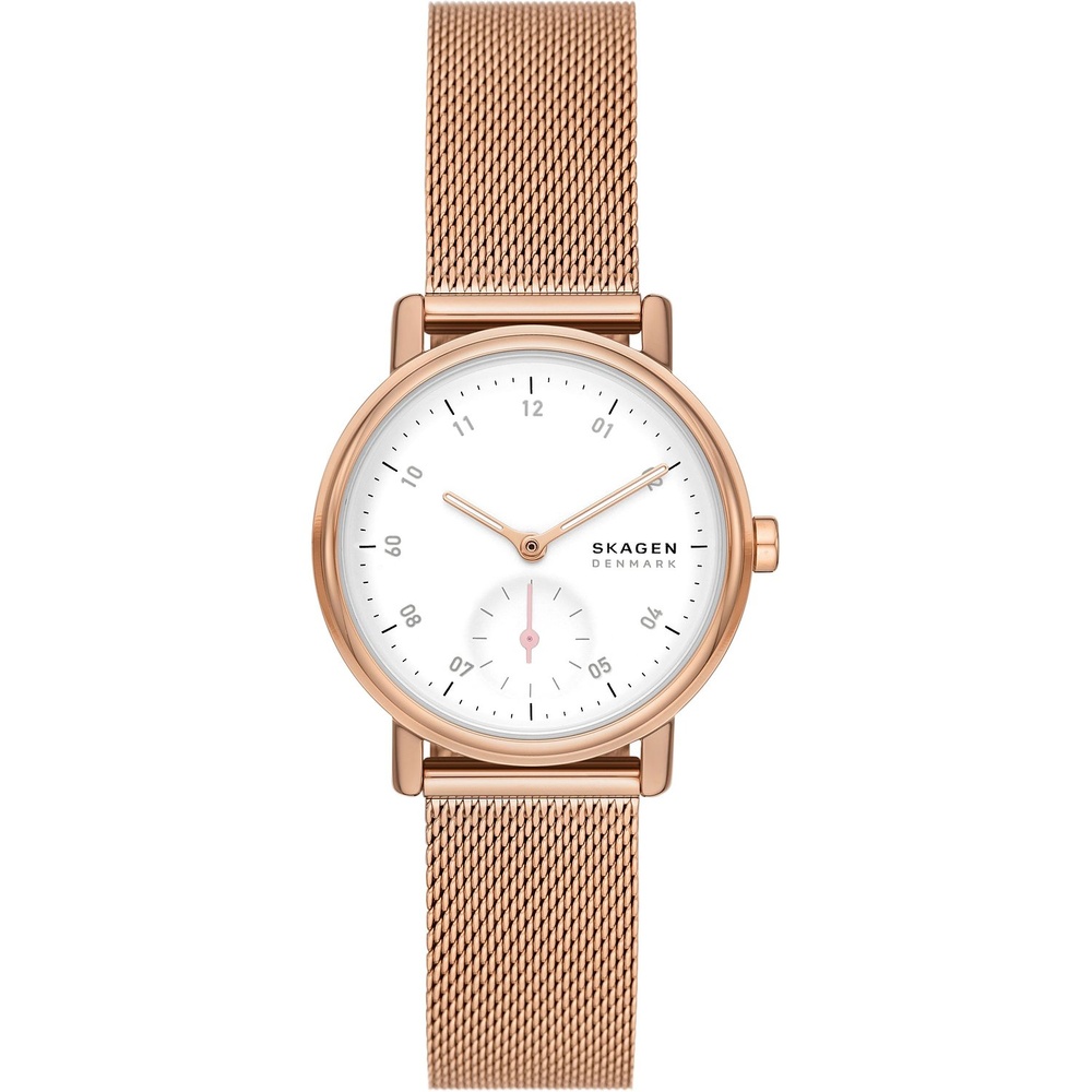 Skagen Montre pour femme Acier inoxydable Montre
