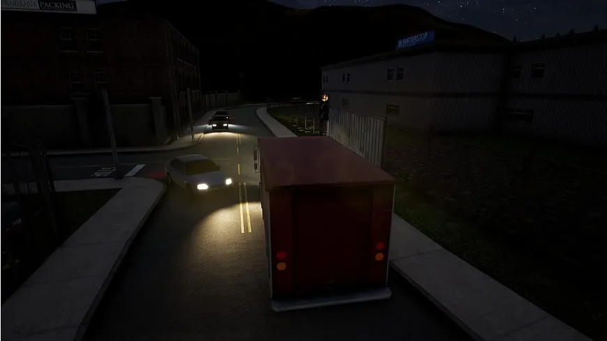 Delivery Driver - Switch