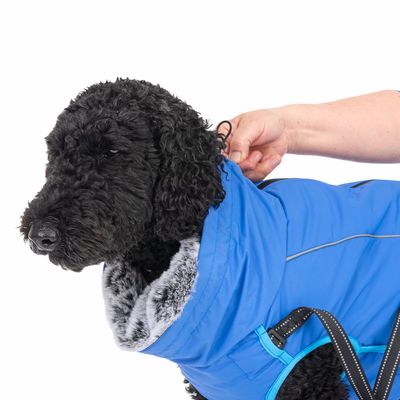 TIAKI Hundemantel mit Geschirr Arkon, blau