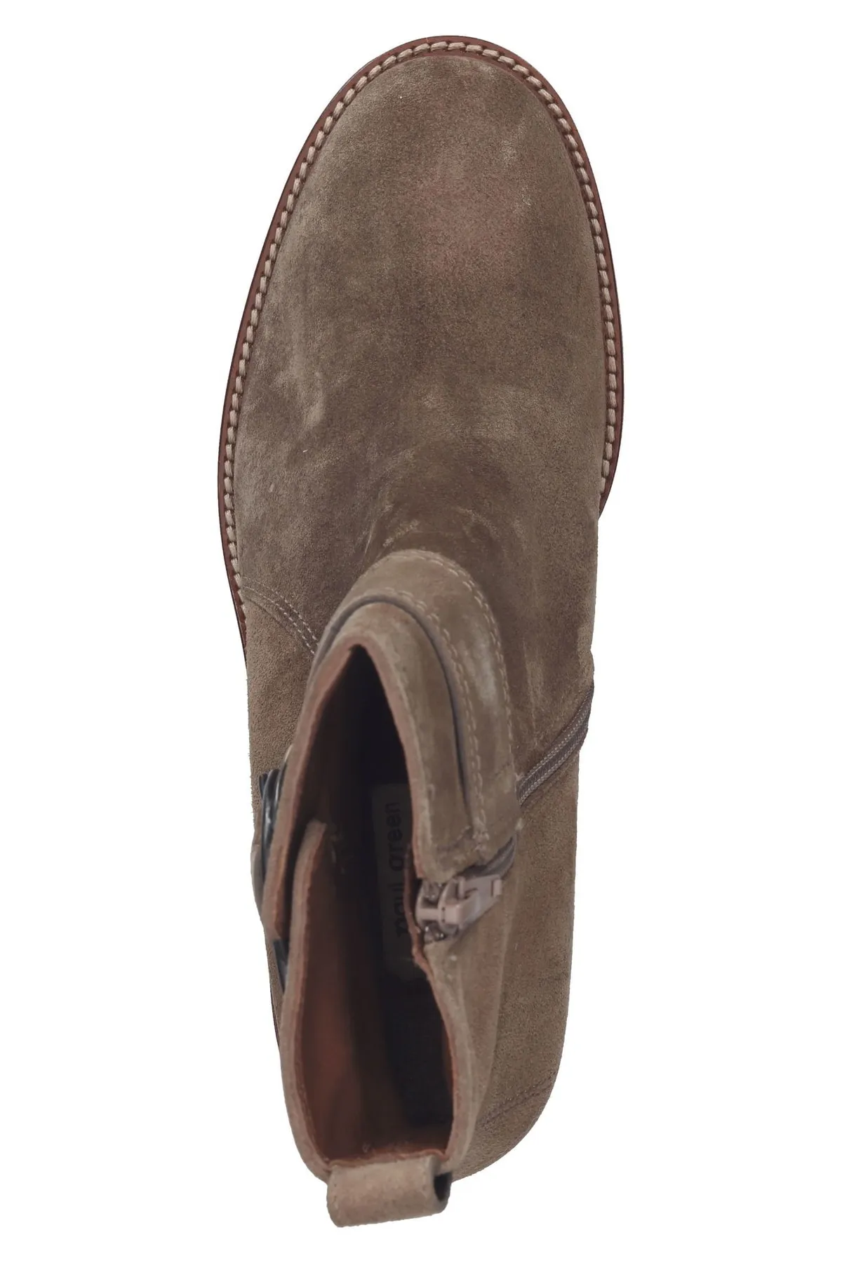 Paul Green  Stiefelette - Beige - Blockabsatz