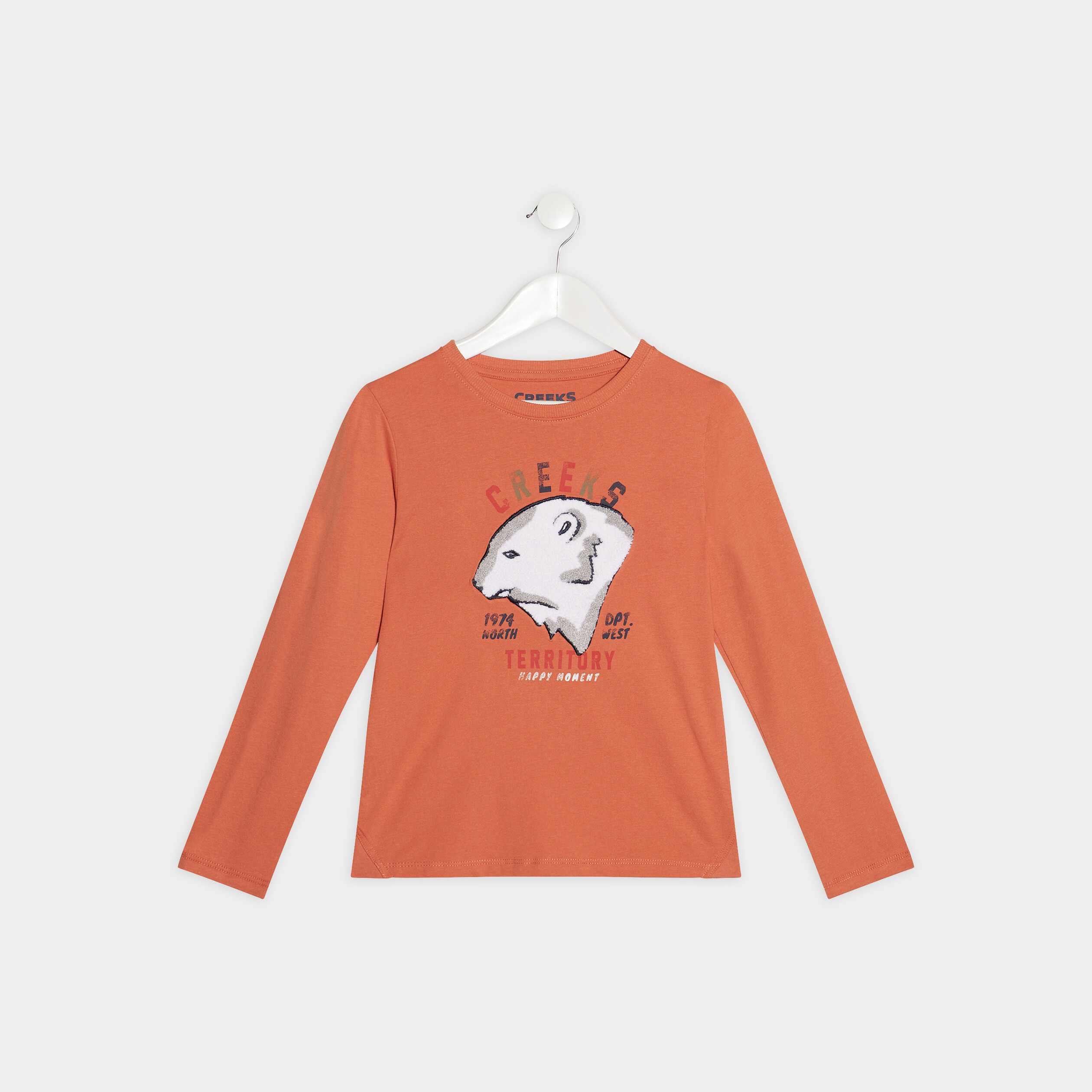 T-shirt manches longues orange garçon | La Halle