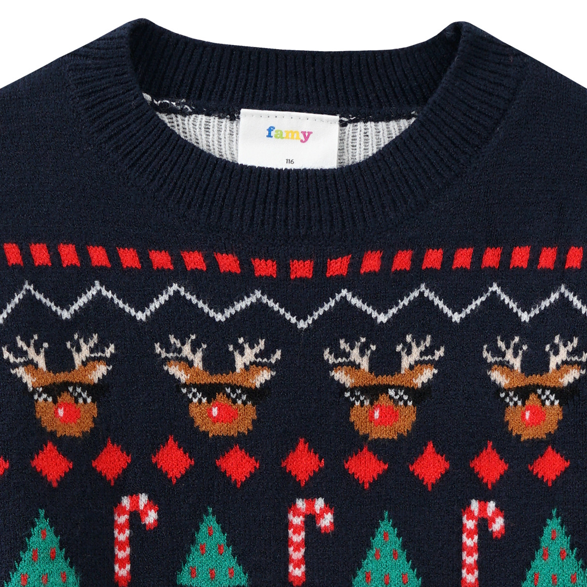 Jungen Weihnachtspullover mit Allover-Motiv dunkelblau / rot / grün