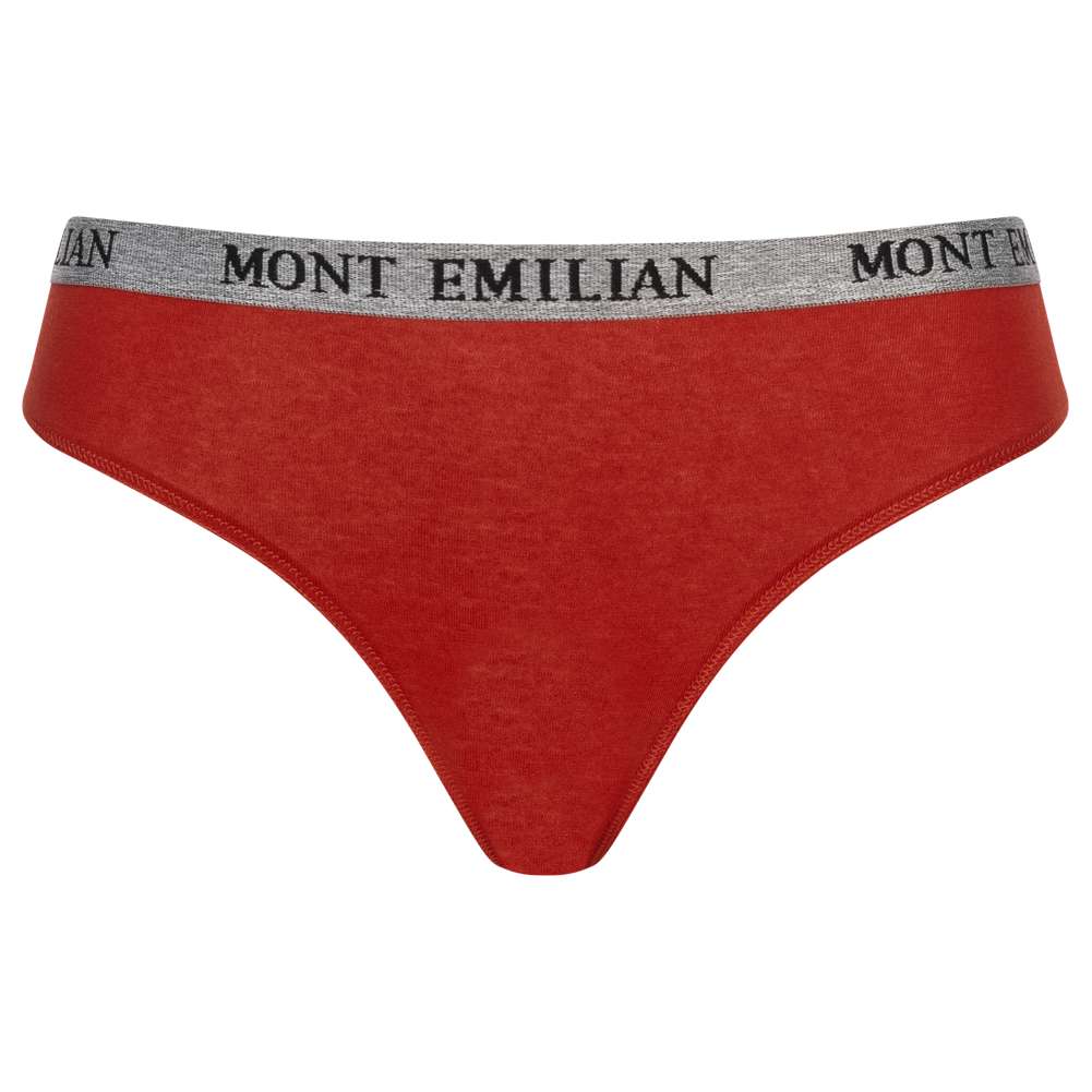 MONT EMILIAN 