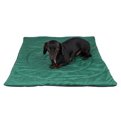 Reise-Hundematte Kompass