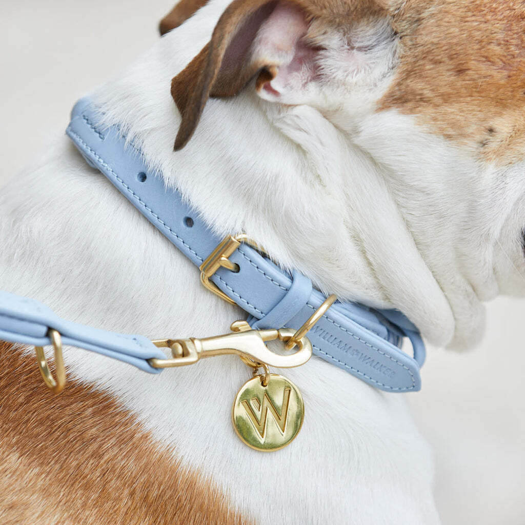 William Walker Hundehalsbänder William Walker Hundehalsband Twisted Sky S