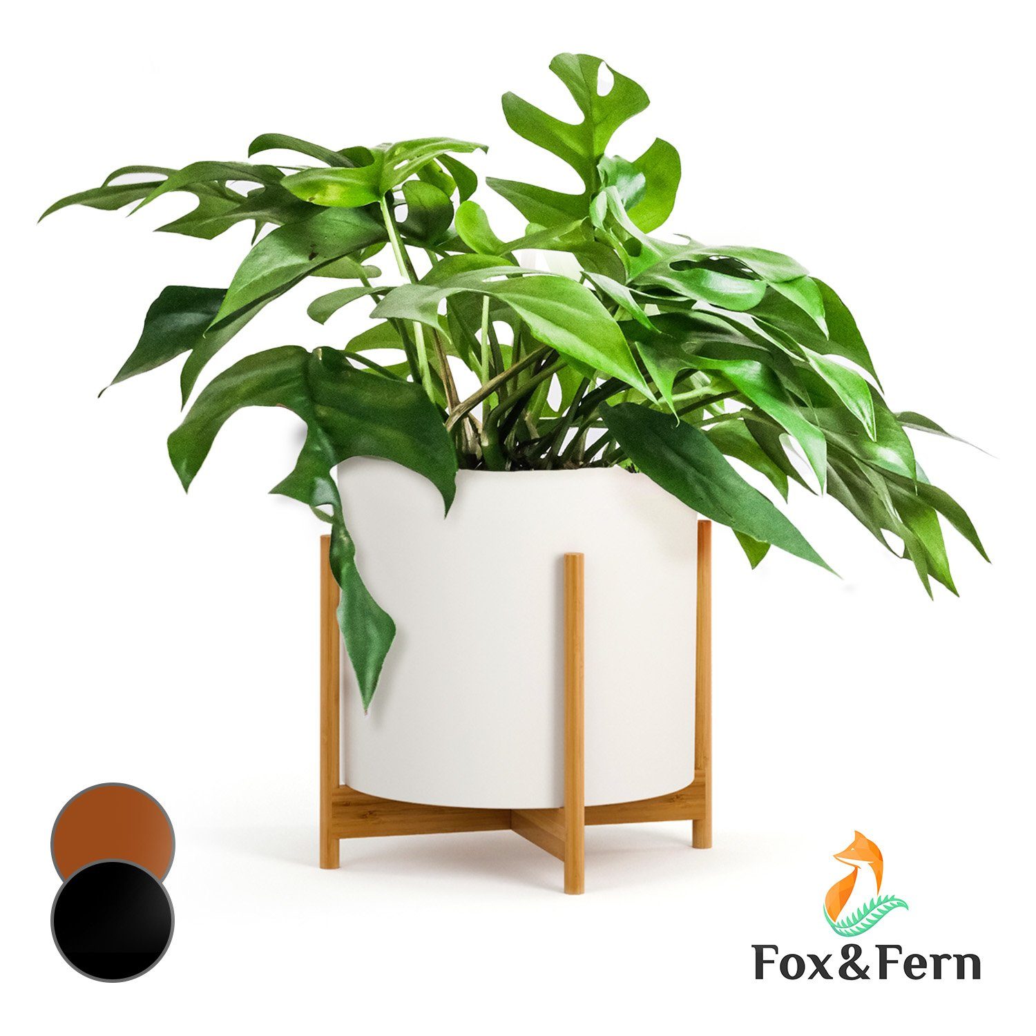 Fox & Fern Hochbeet Zeist
