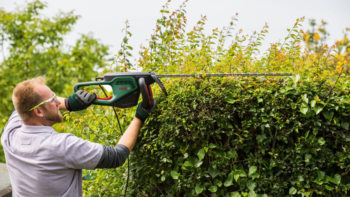 Bosch Green 06008C0903 AdvancedHedgeCut 70 Häcksax