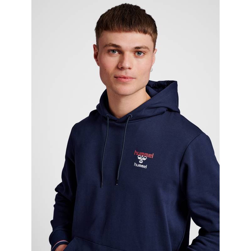 hummel hmlIC DAYTON HOODIE Hoodie