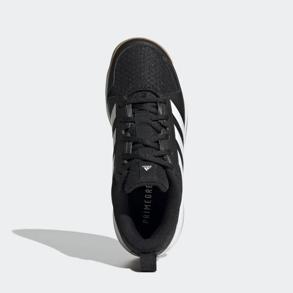 adidas Ligra 7 Indoor FZ4681 / schwarz