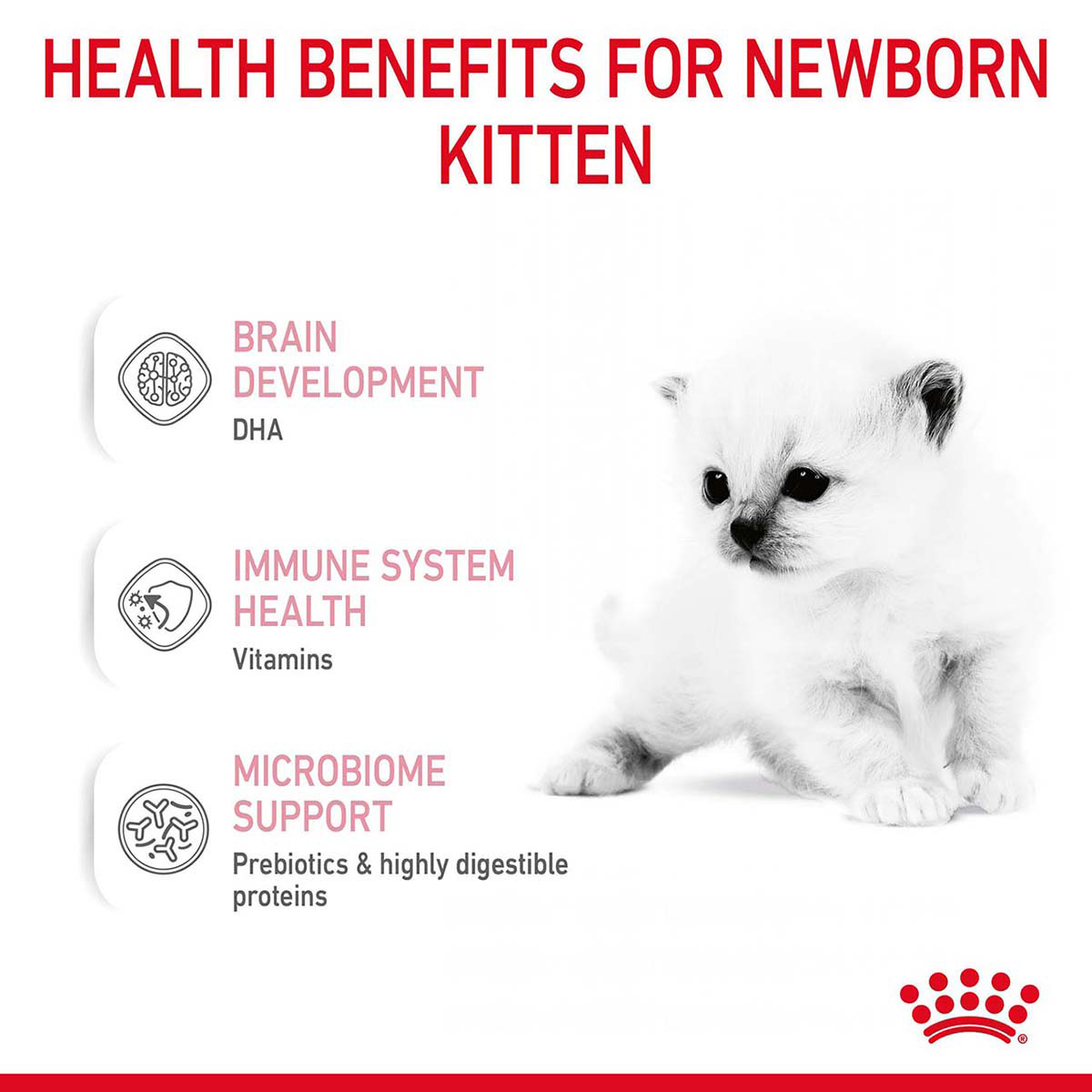 ROYAL CANIN BABYCAT MILK Aufzuchtmilch für Kitten 300g