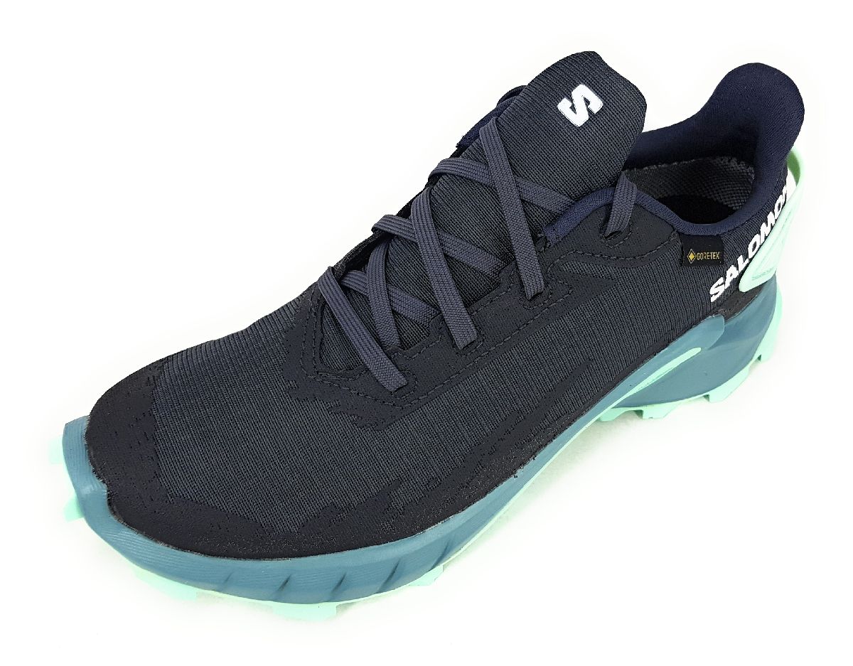 Salomon Alpha Cross 4GTX L47066800 Grau Ebony/Trellis/Yucca