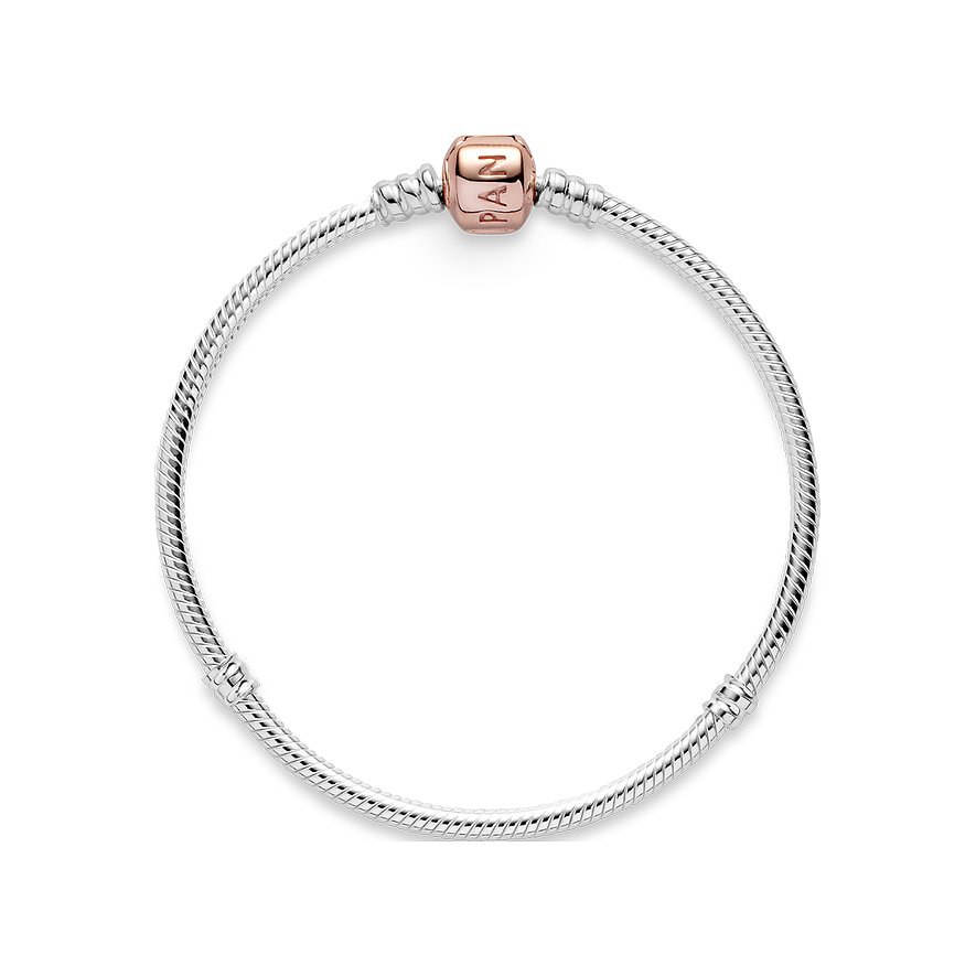 Pandora Armband Moments