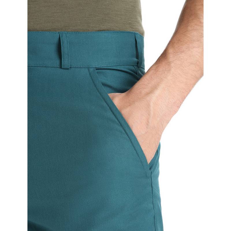 Icebreaker HIKE Funktionsshorts Herren