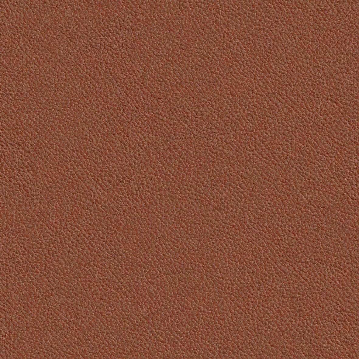 FLEXLUX Relaxsessel Relaxchairs Aarhus, Relaxsessel,Hohes Komfort,Ergonomische Sizhaltung,Rückenverstellung
