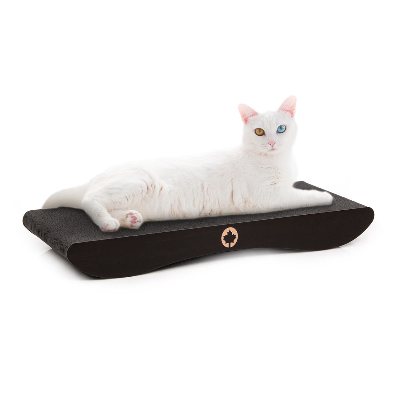 Canadian Cat Company Kratzbretter & Kratzpappen Canadian Cat Company Kratzbrett Comet L schwarz