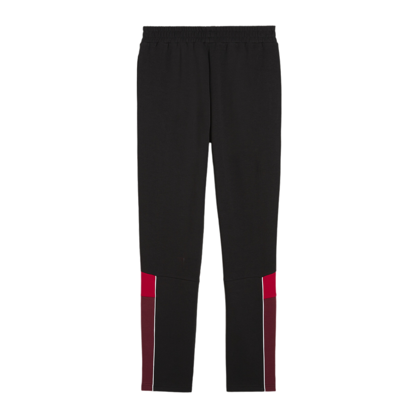PUMA Schweiz Ftbl Archive Trainingshose EM 2024 Schwarz F14
