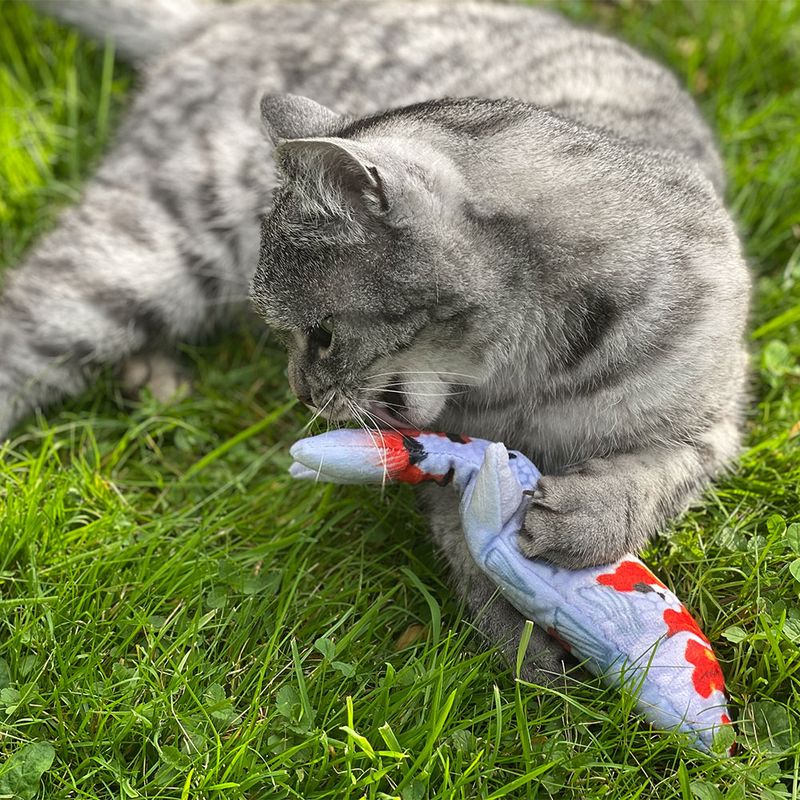 Aumüller Katzenspielkissen Koi zu TOP-Preisen