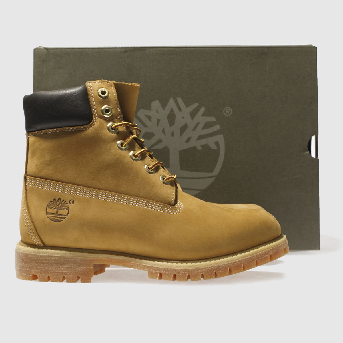 Timberland vrhunski 6-palčni škornji v naravni barvi