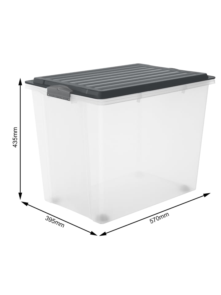 Rotho 3er Set Box 70 l COMPACT günstig kaufen onesize
