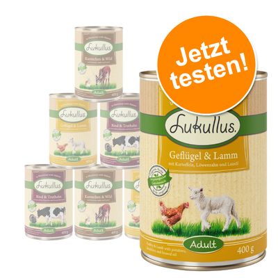 6 x 400 g Lukullus Naturkost gemischtes Probierpaket