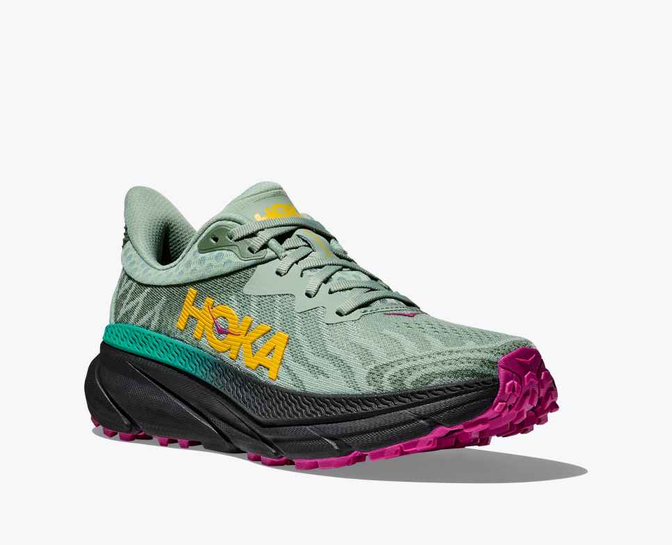 Challenger 7 Aloe Vera / Black