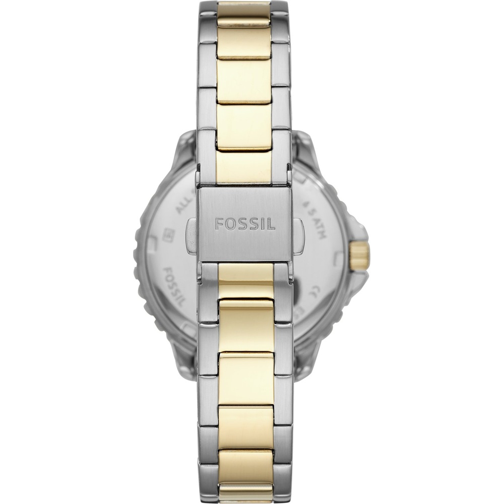 Fossil Montre pour femme Acier inoxydable Montre