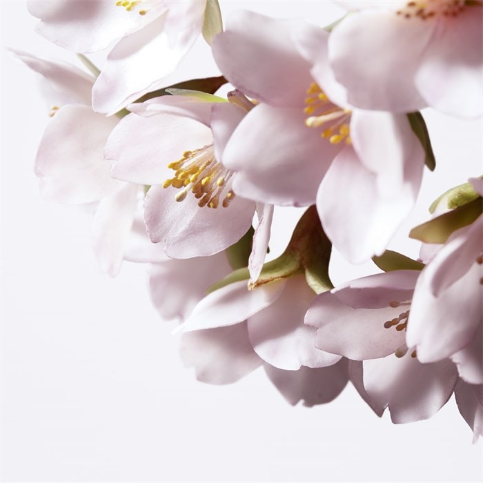 Illuminating Micro-Spot Serum