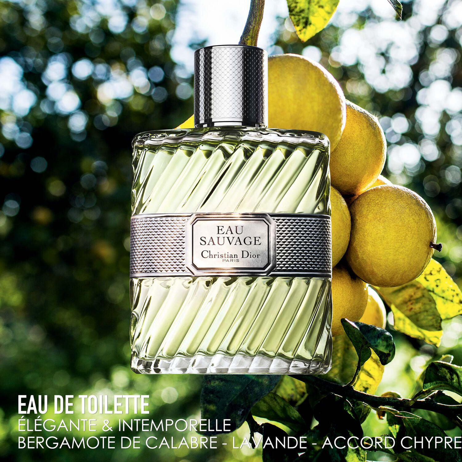 Dior Eau Sauvage Eau de Toilette