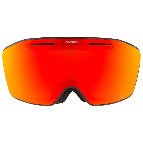 Alpina - Nendaz Q-Lite S2 - Skibrille