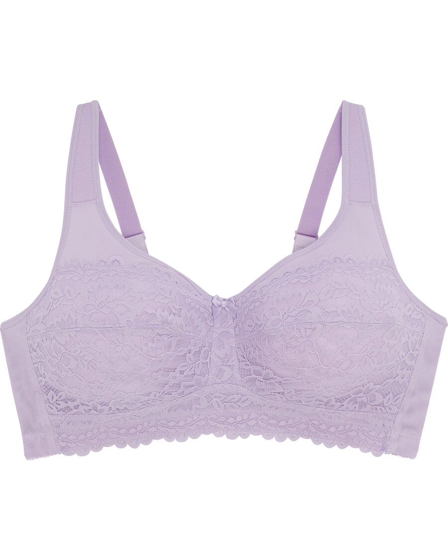 BH Spitze und Mesh