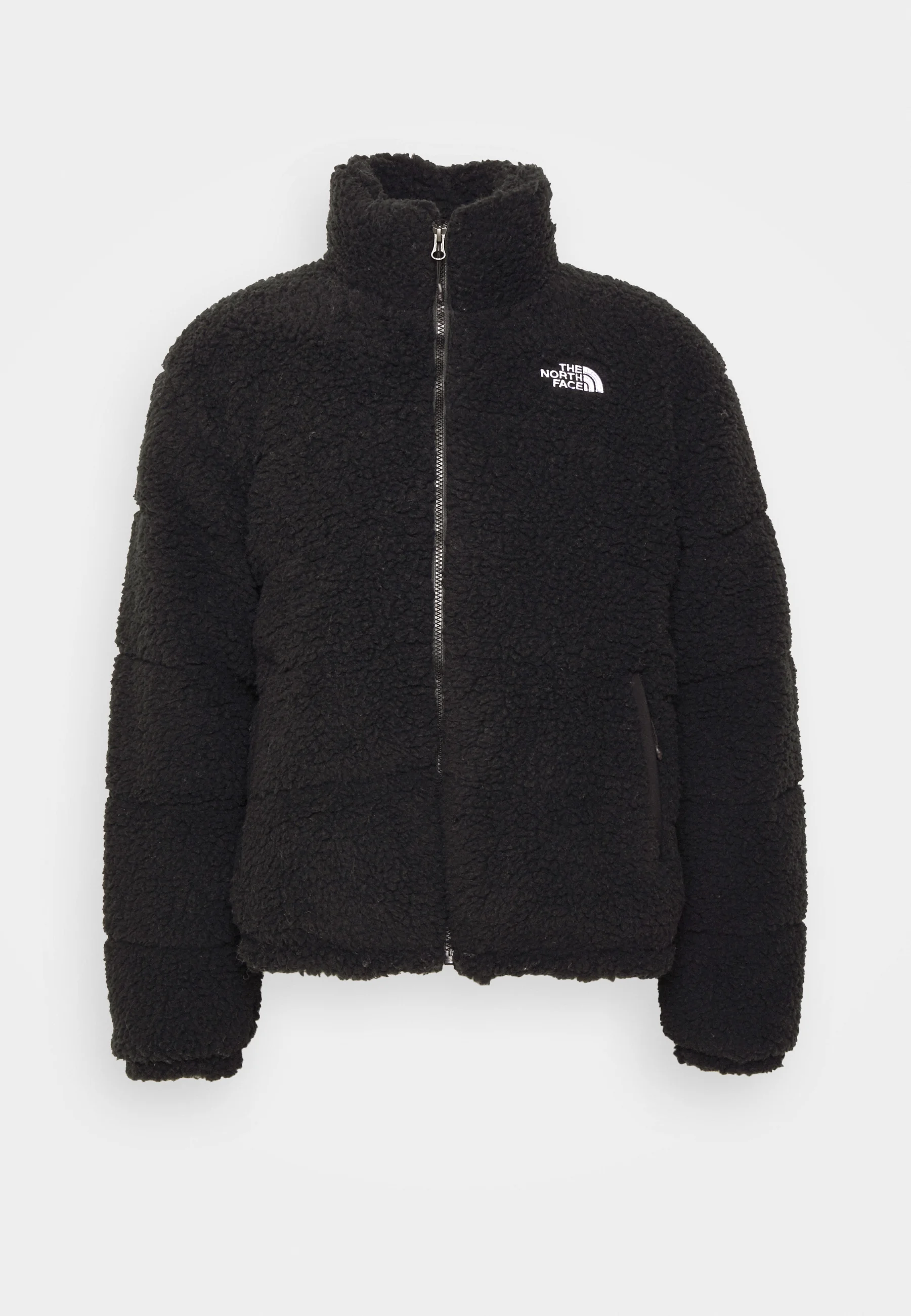 The North Face HIGH PILE JACKET - Chaqueta de invierno