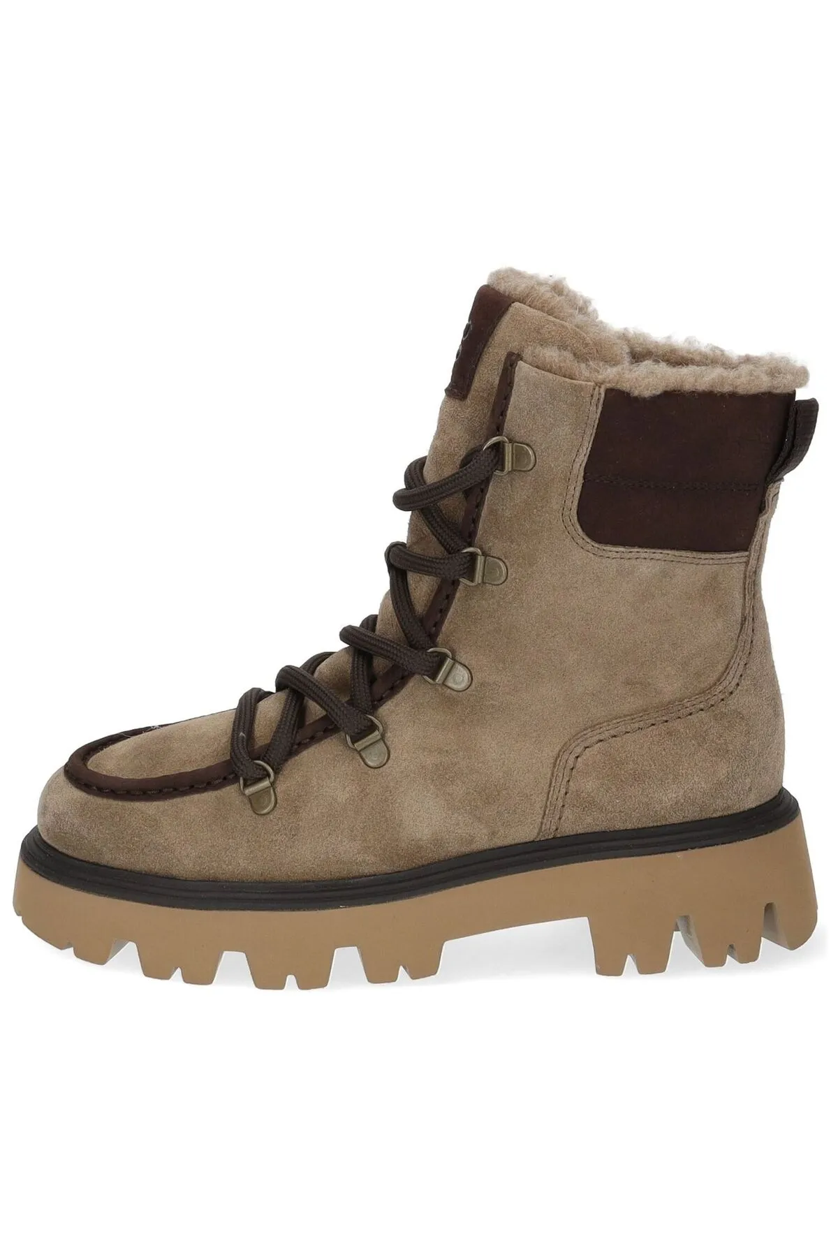 Paul Green  Stiefelette - Beige - Blockabsatz