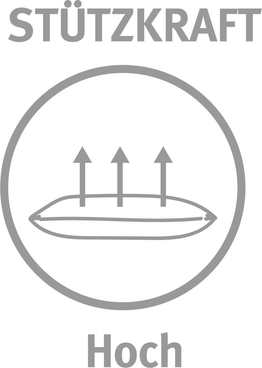 ParadiesKopfkissen 470g