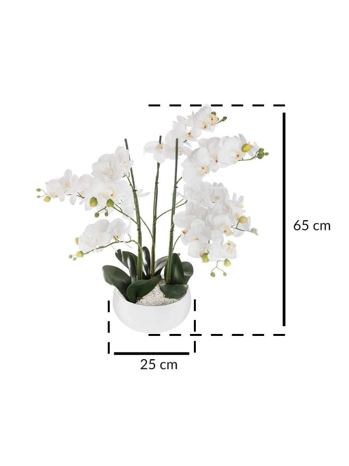 Atmosphera Créateur d'intérieur Kunstblume Orchidee in beige günstig kaufen onesize