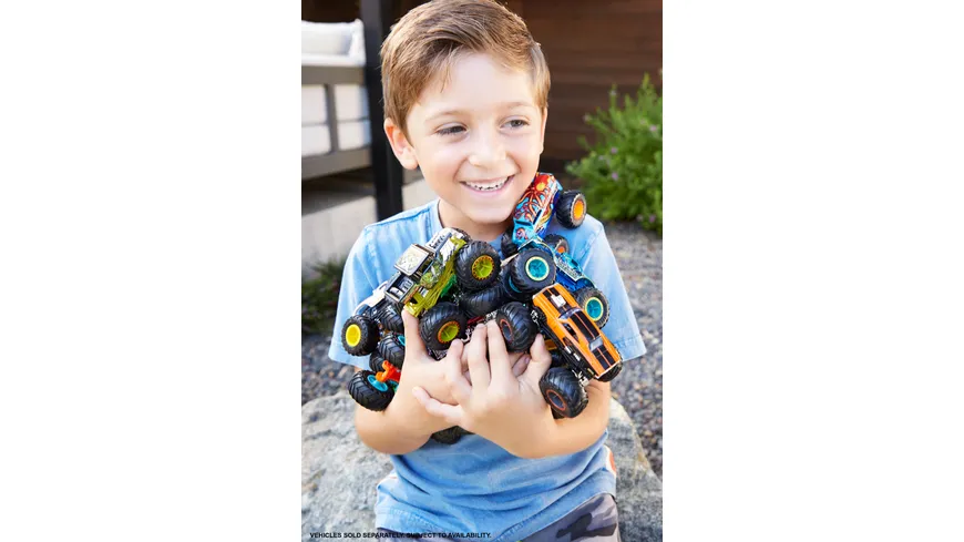 Hot Wheels Monster Trucks 1:64 Die-Cast Sortiment